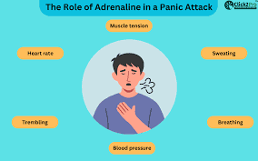 Understanding Panic Attacks